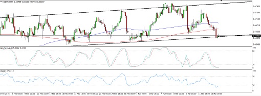 NZDUSD8